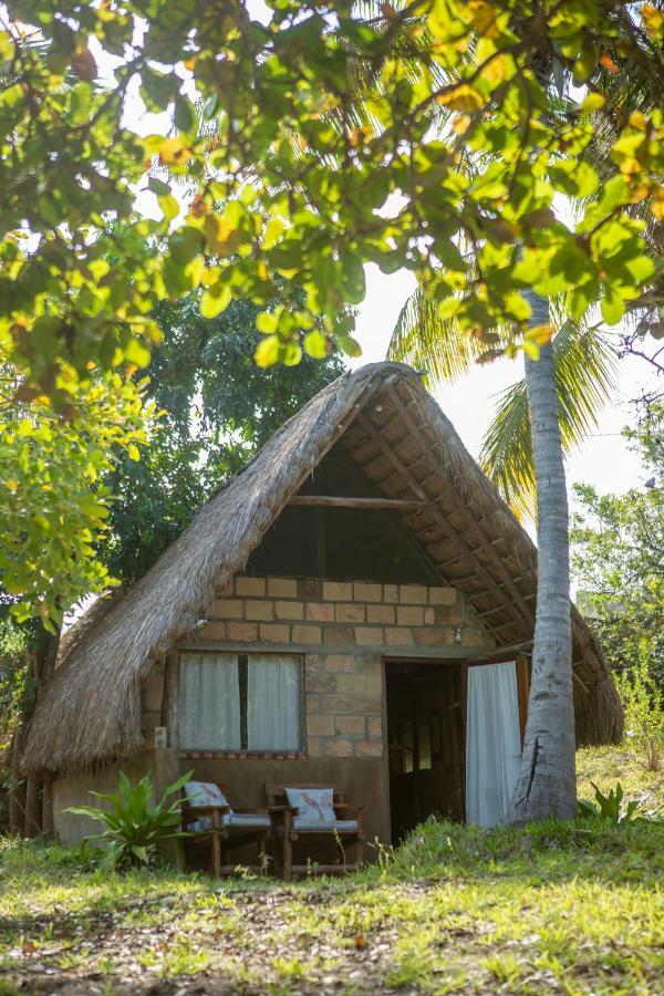 Turtle Cove Lodge And Yoga Shala Praia do Praia do Tofo Exterior foto